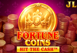 Fortune Coin Slot